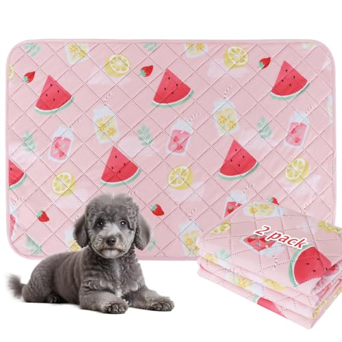 BVAGSS Washable Pee Pads for Dogs 2 Pack Reusable Leakproof Puppy Wee Wee NonSlip Waterproof Pet Training Super Absorbent Whelping XH081 Watermelon 24X18 Inch - Image 1