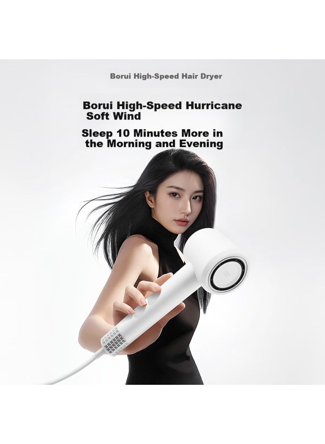 Feike Borui High-speed Hair Dryer With Negative Ions, Hair Protection, Home Use, High Power, Gentle On Hair, Portable, Gift Bag Included, Valentine's Day Gift For Girlfriend Ph1650