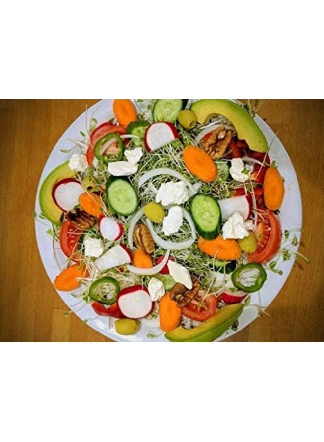 Generic Variety Pack Sprouting Seeds Broccoli, Alfalfa, Radish, Mung beans  Salad Mix for Sprouts and Microgreens. Non-GMO. Pack of 10 premeasured seeds for quart size jars or trays. Includes 2 packs of each  - Image 1