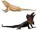Gemini&Genius GeminiGenius Lizard Toys Bearded Dragon Lizard Figures Prank Props Gift Scary Playset Funny Cake Topper for KidsHand Paintedwith Chameleon Reptile Animal Toys2Pcs - Image 2