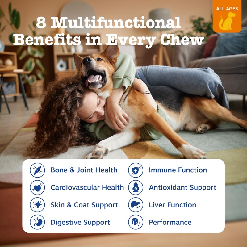 Zesty Paws Dog Multivitamin, Chewable Dog Vitamins and Supplements for Hip & Joints, Skin & Coat, Omega 3 Fish Oil for Dogs- Senior & Puppy Multivitamin - Chicken- 250ct - Image 2