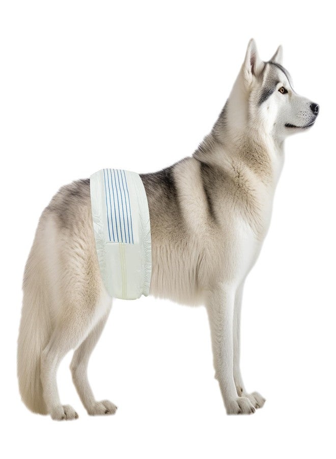 بي في حفاضات بي في للكلاب الذكور، مقاس كبير (محيط الخصر 21-26 بوصة)، فائقة الامتصاص - 50 حفاضة للاستخدام مرة واحدة - حفاضات كلاب مزودة بمؤشر للبلل - أربطة قابلة للتعديل - مثالية لسلس البول/التدريب - Image 1