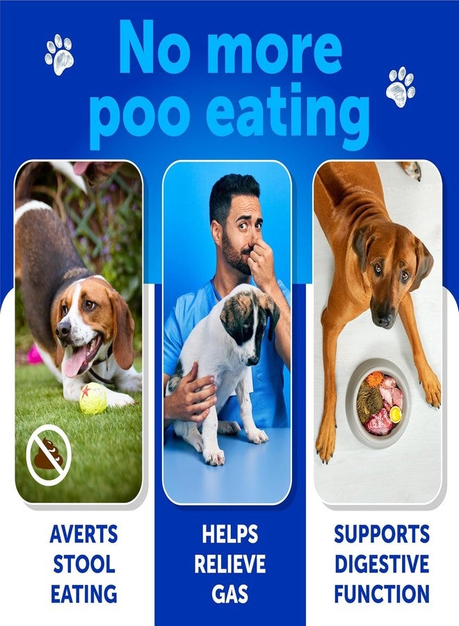 Artullano No Poo Chews for Dogs, Puppy - Coprophagia Stool Eating Deterrent - Prevent Dog from Eating Poop - Stop Eating Poop Treats with Probiotics & Enzymes - Immune, Digestive, Gut Health Support Supplement - Image 2