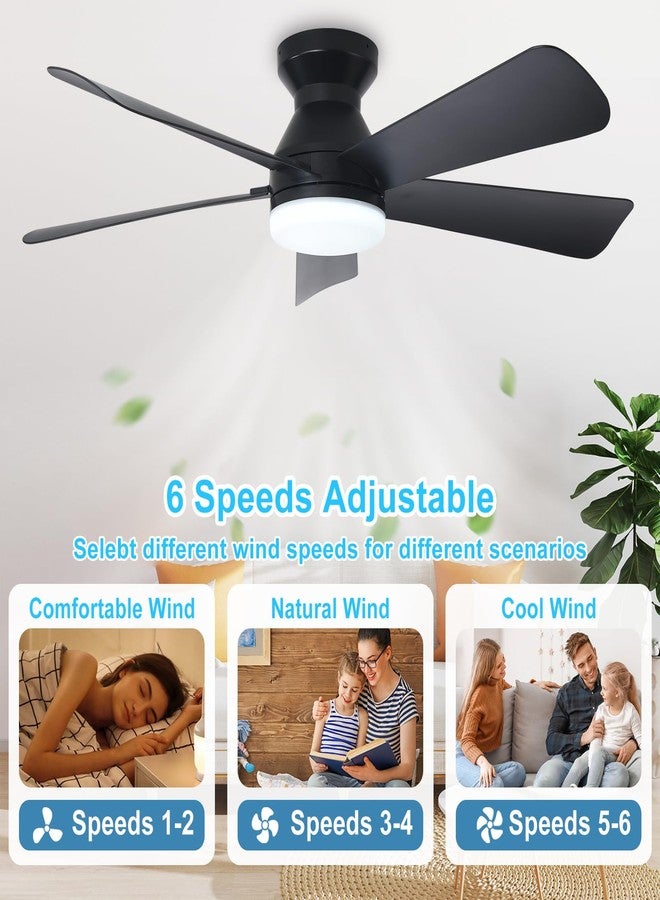 Depuley Modern Ceiling Fan with Light: 42-Inch Black Small Fans for Bedroom Indoor Outdoor - Dimmable Low Profile Ceiling Fans with Remote Control Flush Mount 5 Reversible Black Blades 6 Speeds Timer - Image 5