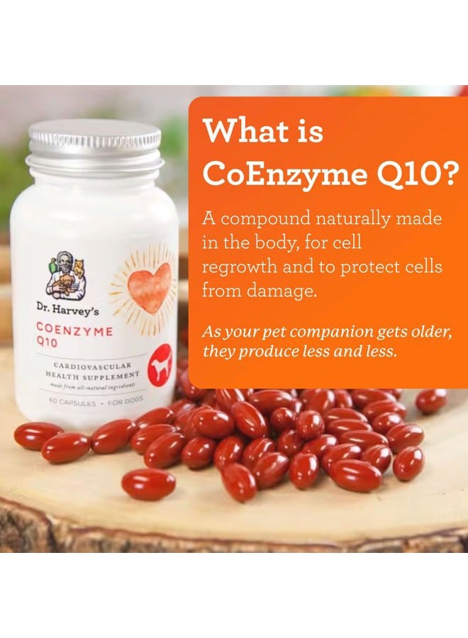 Dr. Harvey's Coenzyme Q10 - Heart & Cardiovascular Support Supplements for Dogs, 60 Capsules - Image 3