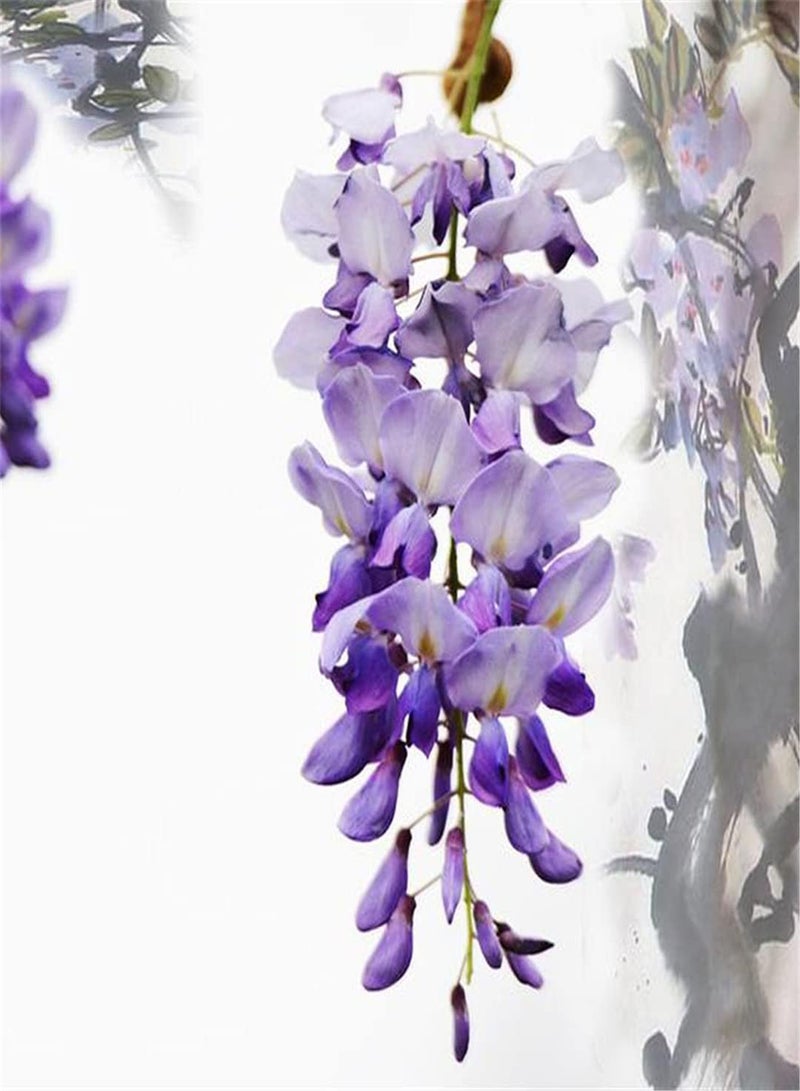 GGOOT Wisteria Seeds-Garden Collection Gift Seeds Can Blossom in Large Numbers Outdoor Seeds UK-100pcs - Image 1