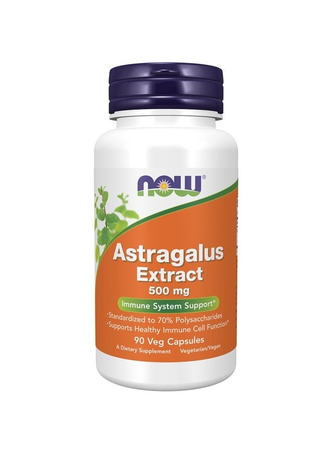 now Immune Support Supplements, Astragalus Extract 500 mg (Standardized to 70% Polysaccharides), 90 Veg Capsules - Image 1