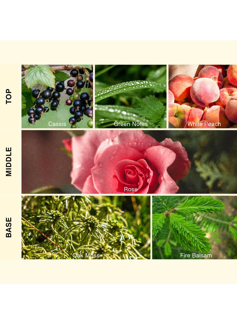 ISCENT | Fleur de Mystère Fragrance Oil Refill for Ensō Diffuser – 100ml Signature Scent with Cassis, Rose & Oak Moss | An Enigmatic Blend of Lush Fruits, Timeless Florals & Warm Woods for Your Home - Image 2