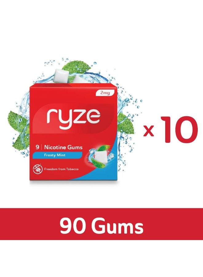رايز علكة رايز نيكوتين ٢ ملغ | بنكهة النعناع المنعش | علكة طرية، سهلة على الحلق، خالية من السكر | للإقلاع عن التدخين والتبغ والمضغ | ٩ علكات | عبوة من ٥ قطع - Image 1