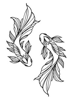 Koi Fish