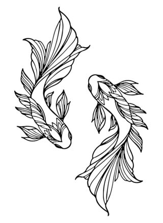 Koi Fish