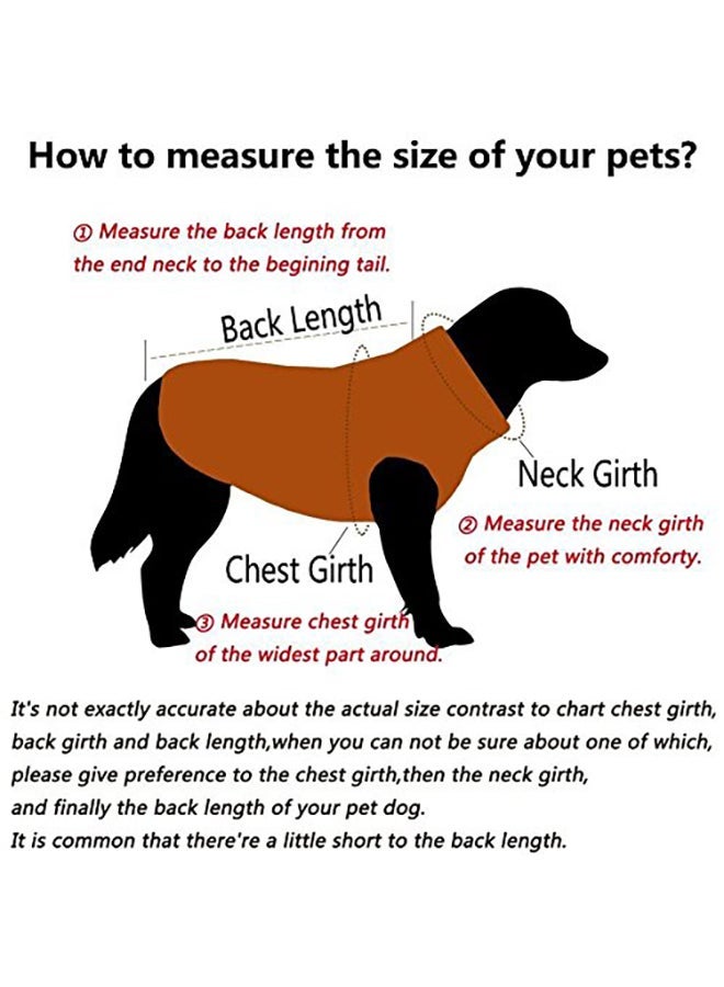 NIBEMINENT Sild Pet Jeans Jacket Blue Large - Image 4