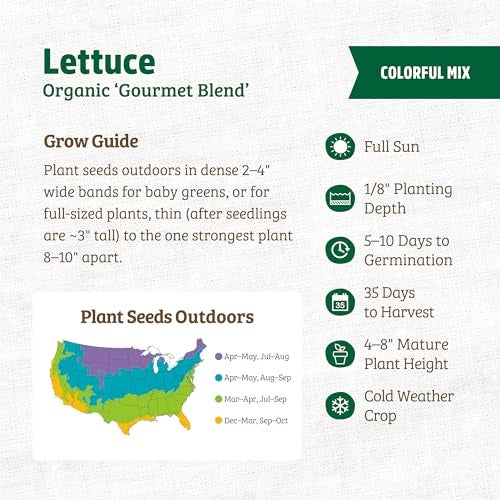 Back to The Roots 100% Organic Seed Packet - Lettuce 'Gourmet Blend' 420mg - Image 3