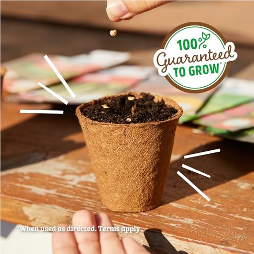 Back to The Roots 100% Organic Seed Packet - Lettuce 'Gourmet Blend' 420mg - Image 5