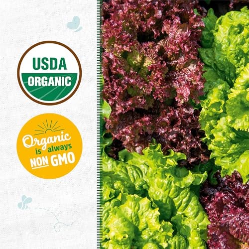 Back to The Roots 100% Organic Seed Packet - Lettuce 'Gourmet Blend' 420mg - Image 2
