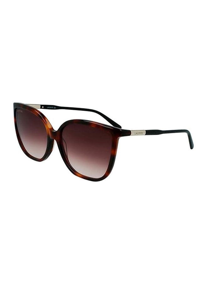 LACOSTE Women's UV Protection Butterfly Sunglasses - 886895518475 - Lens Size: 59 Mm  - Image 1