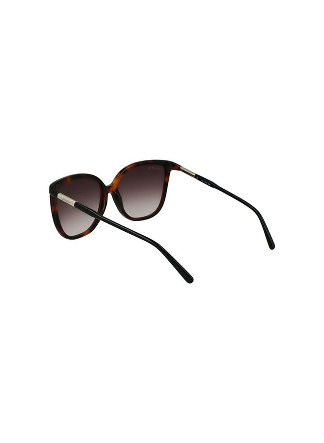 LACOSTE Women's UV Protection Butterfly Sunglasses - 886895518475 - Lens Size: 59 Mm  - Image 4