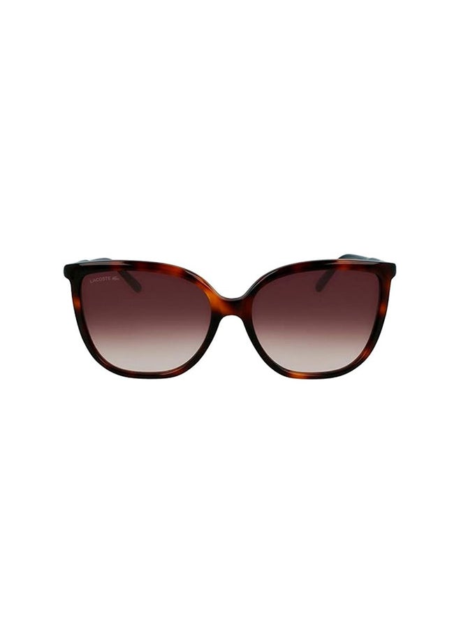 LACOSTE Women's UV Protection Butterfly Sunglasses - 886895518475 - Lens Size: 59 Mm  - Image 2