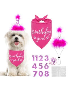 BINGPET Dog Birthday Bandana Girl Scarf And Reusable Dog Birthday Hat With 08 Figures  - Image 1