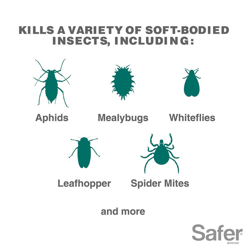 Safer صابون قاتل الحشرات المركّز Safer 5118-6 - صابون حشري للنباتات - يقتل المن، الذباب الأبيض، الثربس، العناكب، وأكثر - مدرج في OMRI للاستخدام العضوي - Image 2