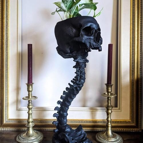 Smowfes Gothic Skull Planter Skeleton Vase 116 Tall Black Skeleton Flower Pot for Indoor Plants Spooky Goth Decor for Halloween Table Centerpiece Gothic Gifts with Skull Decor for Bathroom Home - Image 1