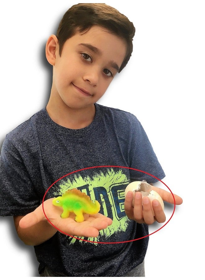 JA-RU Magic Grow Growing Dinosaur Toy (1 Egg Assorted) Surprise Hatching Dino Eggs in Water for Kids. Jurassic Party Favors Easter Basket Stuffers Pinata Fillers. 312-1A - Image 4