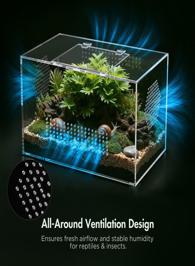 CourtyardAid Acrylic Reptile Terrarium, Pre-Assembled Tarantula Enclosure with All-Side Ventilation & Magnetic Door, Tank for Spider, Gecko, Mantis, Frog, Snail, Isopods, 12"x7"x7" (Tweezer & Hygrometer Included) - Image 3