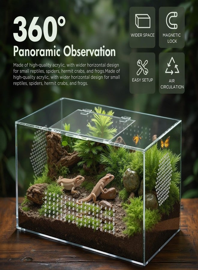 CourtyardAid Acrylic Reptile Terrarium, Pre-Assembled Tarantula Enclosure with All-Side Ventilation & Magnetic Door, Tank for Spider, Gecko, Mantis, Frog, Snail, Isopods, 12"x7"x7" (Tweezer & Hygrometer Included) - Image 2