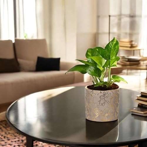 FOX & FERN Premium Ceramic Planter with Drainage-Hole for Vibrant Garden | Enhance The Ambiance of Your Home, Office or Garden (Dia. 5") (GA134B-017-GS) - Image 5