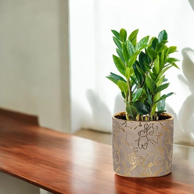 FOX & FERN Premium Ceramic Planter with Drainage-Hole for Vibrant Garden | Enhance The Ambiance of Your Home, Office or Garden (Dia. 5") (GA134B-017-GS) - Image 3