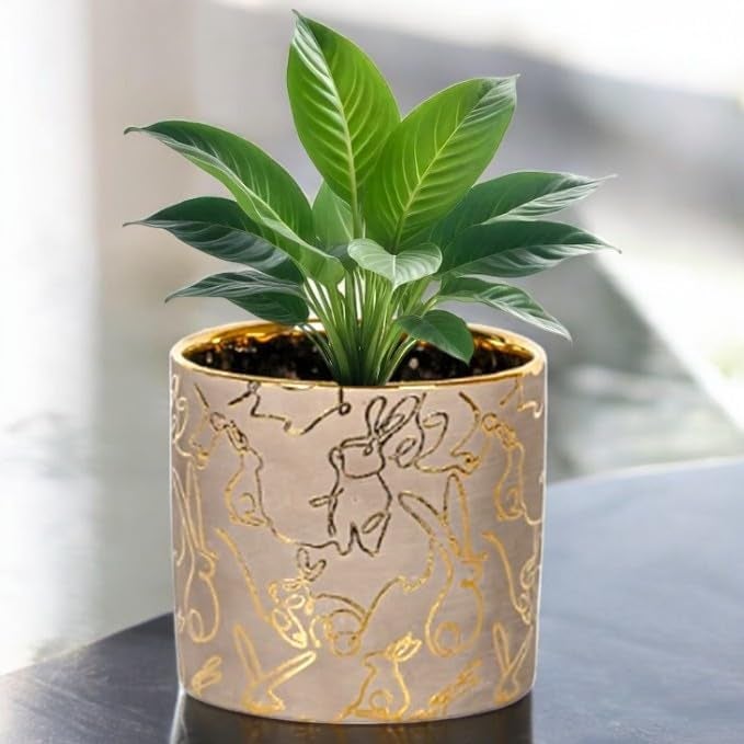 FOX & FERN Premium Ceramic Planter with Drainage-Hole for Vibrant Garden | Enhance The Ambiance of Your Home, Office or Garden (Dia. 5") (GA134B-017-GS) - Image 2
