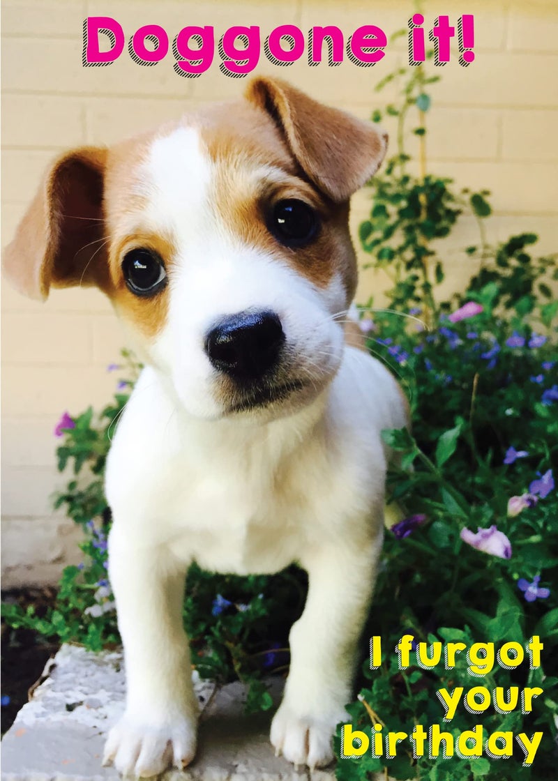 Glory To Dog Doggone It! I Furgot Your Birthday Belated Birthday Card (featuring an adorable Jack Russell Terrier puppy) with Greeting Card Mailing Envelope - Image 5