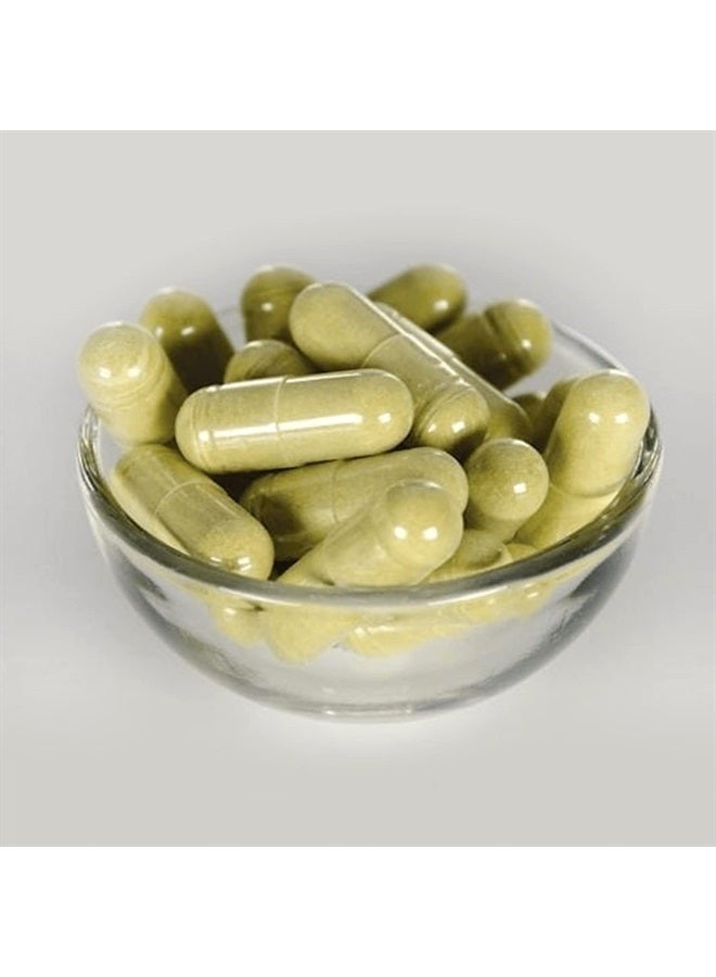 SWANSON كبسولات مستخلص ورق الزيتون مع 20% أوليوروبين - تدعم المناعة، تعزز صحة الجهاز القلبي الوعائي، وتدعم ضغط الدم الصحي - (120 كبسولة، 500 ملغ لكل منها) - Image 1