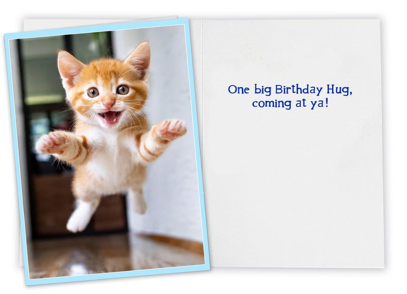 CardFool - Funny Cat Birthday Hug Card for Women, Men, Coworkers and Anyone and All Ages Ready to Party - Image 2