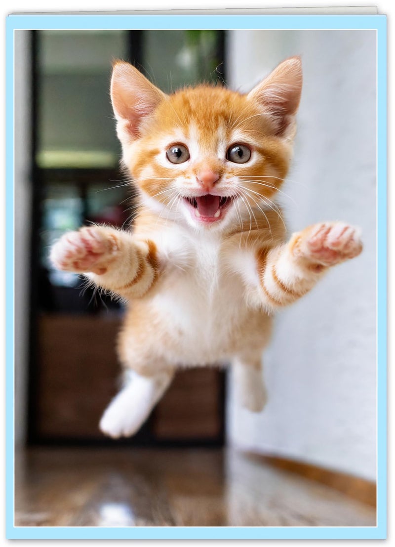 CardFool - Funny Cat Birthday Hug Card for Women, Men, Coworkers and Anyone and All Ages Ready to Party - Image 1