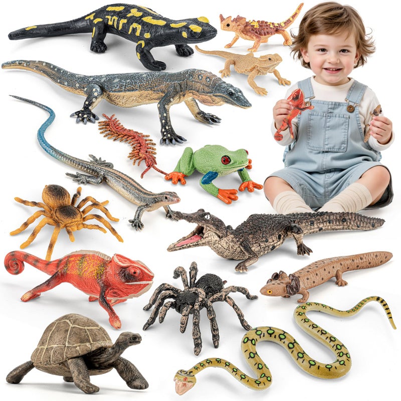 THINKBAY 14PCS Reptile Animal Figurines Toys Amphibians Diorama Toys with AxolotlHorned LizardSnakeSpiderChameleonFire SalamanderCrocodile Rainforest Animal Figurines Toy Party Favor for Kids - Image 3