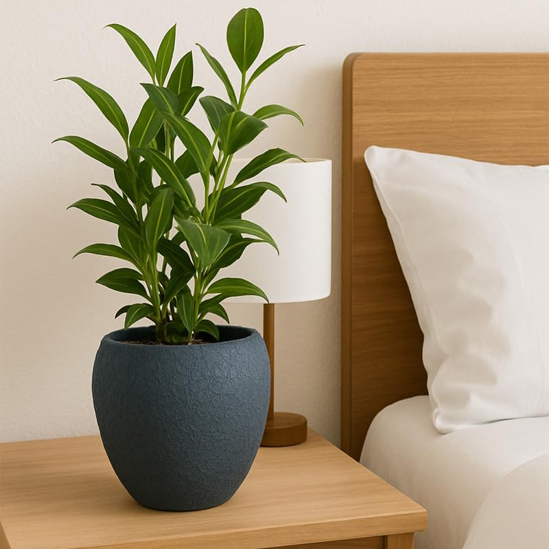 CINAGRO Metal Planter Pot with Stand for Indoor Plants, Round Decorative Flower Pot, Rust-Resistant, Modern Plant Holder for Home, Balcony, Office (13.9 x 12.7 cm, Shadow Husk) - Image 1