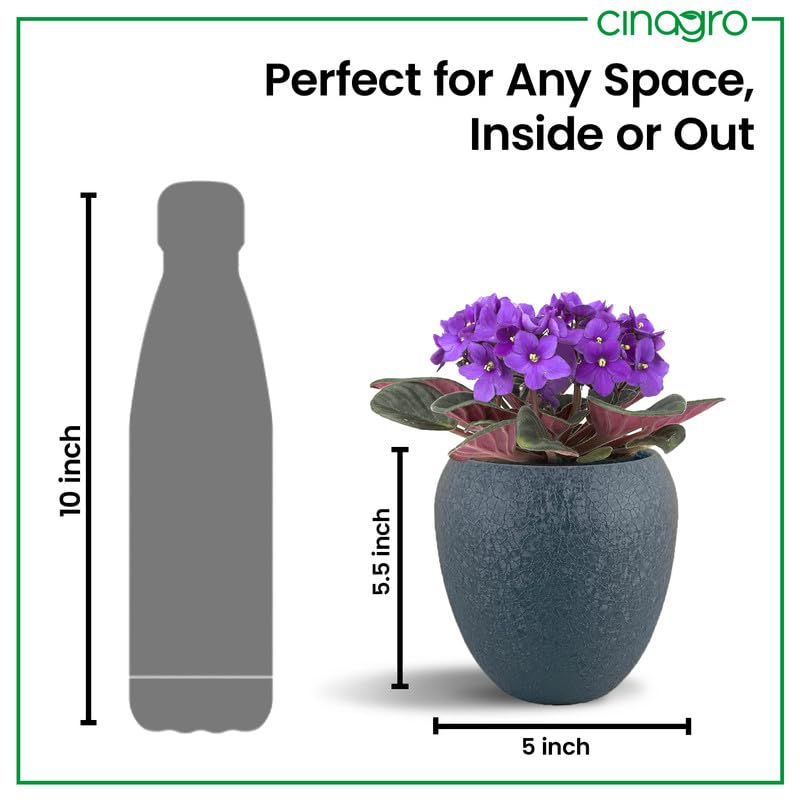 CINAGRO Metal Planter Pot with Stand for Indoor Plants, Round Decorative Flower Pot, Rust-Resistant, Modern Plant Holder for Home, Balcony, Office (13.9 x 12.7 cm, Shadow Husk) - Image 4