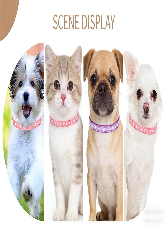Weimostar XXS Dog Collar for Small Dogs Bling Puppy Diamond Rhinestone Crystal Cute Little Pet Kitten Collars for Adjustable XSmall Medium Breed Girl Boys Female Male Blue - Image 2