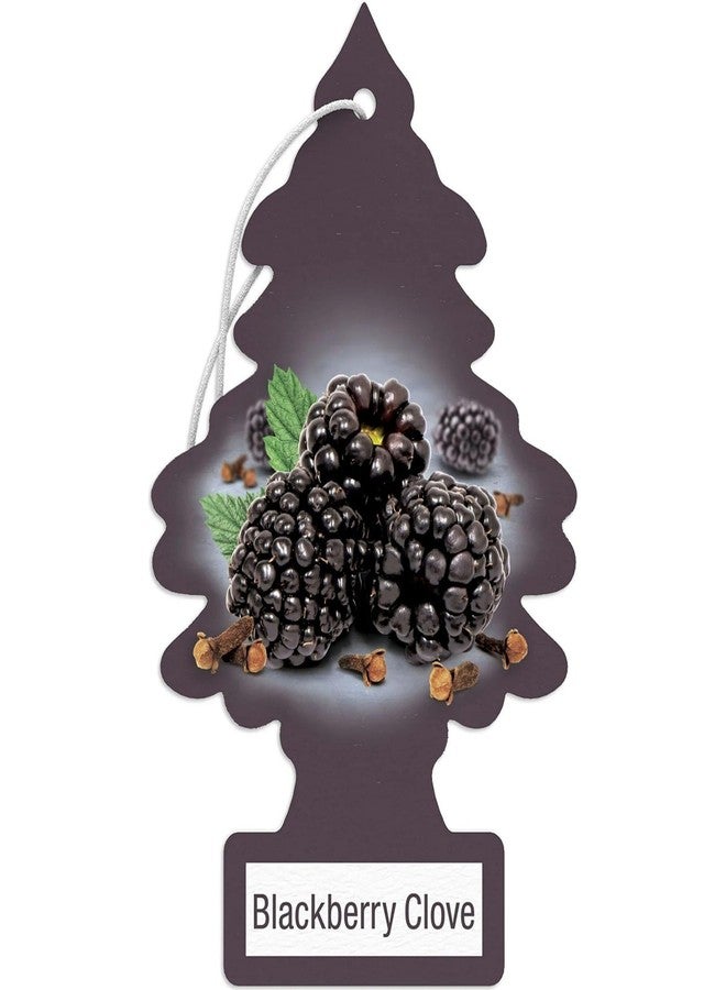 LITTLE TREES Car Air Freshener | Hanging Paper Tree for Home or Car | Blackberry Clove | Pack of 24 - Image 1