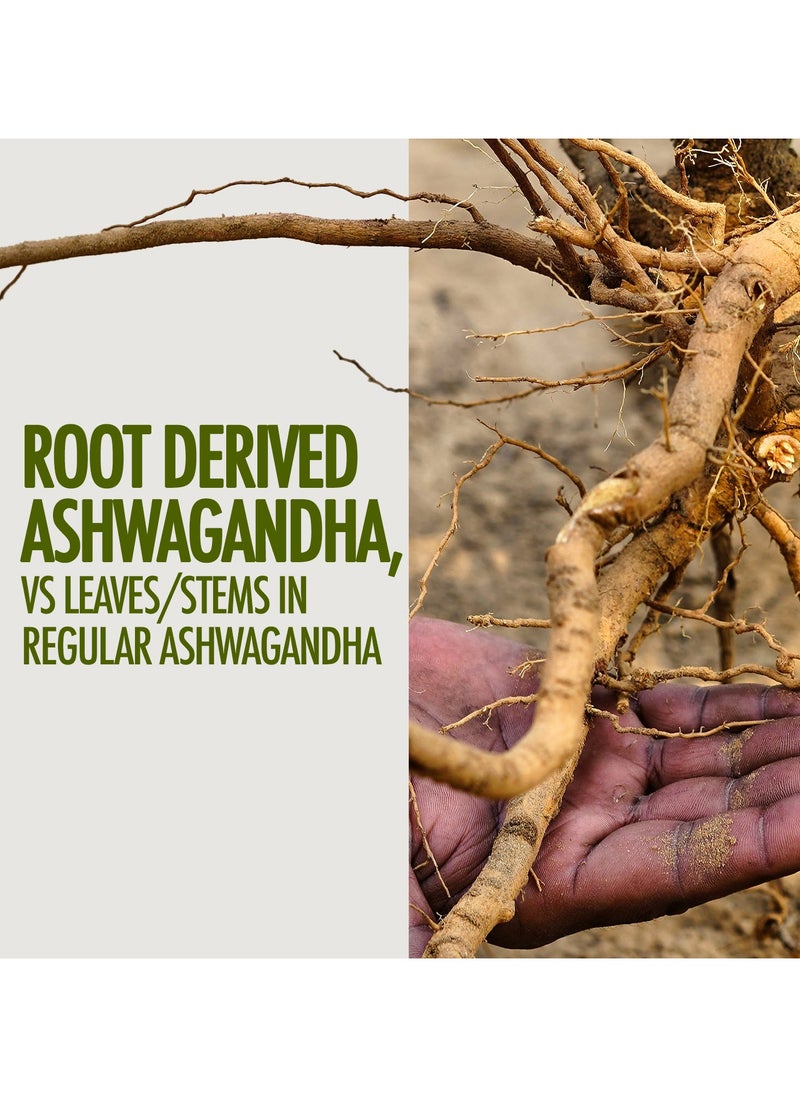 Kapiva - Ashwagandha Gold Capsules, Helps Stress Management, Improve Energy, Stamina For Men And Women 60 Capsules - Image 1