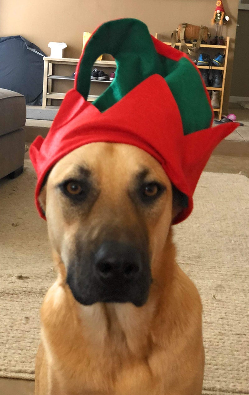 Funiverse Bulk 12 Pack Christmas Elf Hat with Jingle Bell - Adult Sized and Perfect for Any Christmas Holiday Event - Image 3