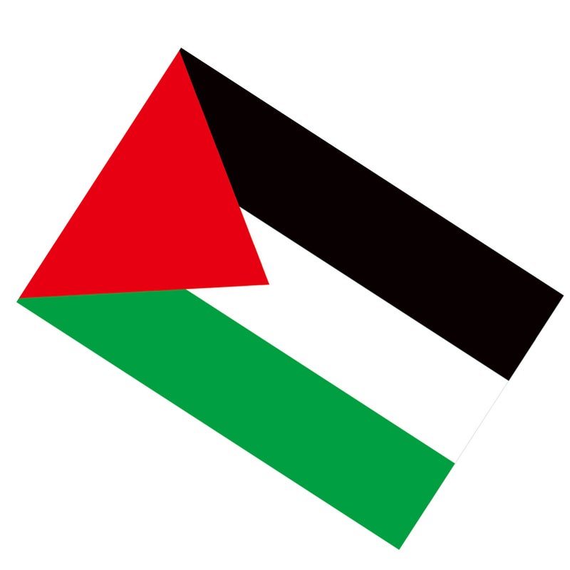علم فلسطين بغرومتين نحاسيتين، لون واضح، مصنوع من البوليستر، مطرز مزدوج، لا يندمر اللون، علم وطني للزينة الخارجية، 30×45 سم / 11.8×17.7 بوصة - Image 2
