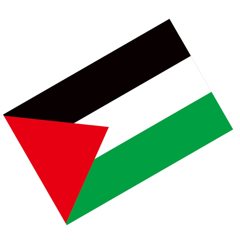 علم فلسطين بغرومتين نحاسيتين، لون واضح، مصنوع من البوليستر، مطرز مزدوج، لا يندمر اللون، علم وطني للزينة الخارجية، 30×45 سم / 11.8×17.7 بوصة - Image 4