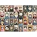 Hiwhy 1000 Pieces Jigsaw Puzzles for Adults Stylish Cats in Fashion Unique Puzzle for Family and Friends Challenging Puzzle Perfect for Game Nights 197x276 in - Image 2
