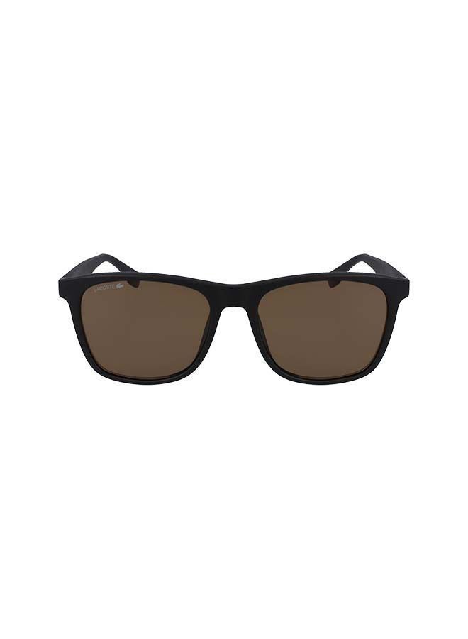 LACOSTE Men Polarized Rectangular Sunglasses L860SP - Image 1
