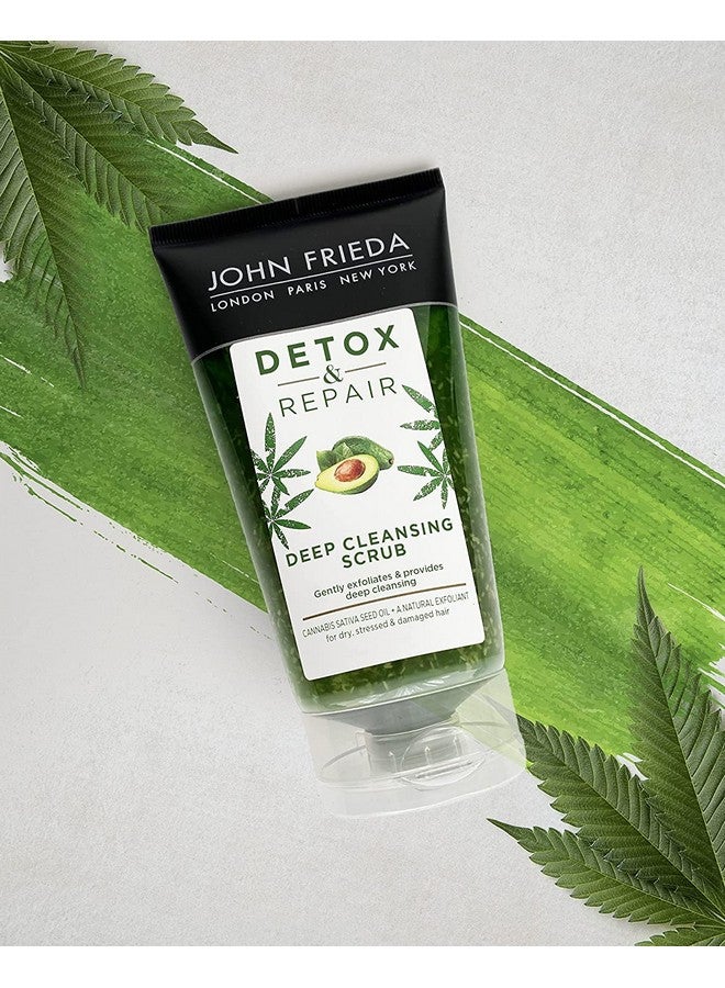 John Frieda Detox & Repair Deep Cleansing Scrub 150 Ml For Dry, Stressed & Damaged Hair - Image 2