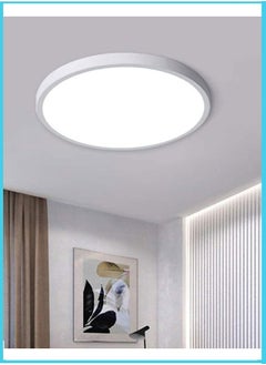 White( ceiling light)