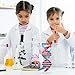 VICASKY DNA Kit Self Double Helix Structure Model 33 x 116cm DIY Generic Molecular Model Kit LargeScale Biological Structure Human Genes Components Science Educational Teaching Tool - Image 4