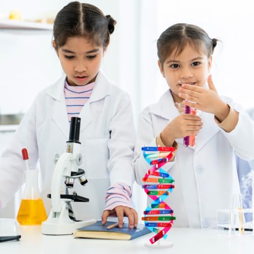 VICASKY DNA Kit Self Double Helix Structure Model 33 x 116cm DIY Generic Molecular Model Kit LargeScale Biological Structure Human Genes Components Science Educational Teaching Tool - Image 5